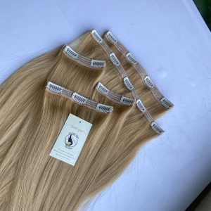 https://humanhairvietnamltd.trustpass.alibaba.com/productgrouplist-812170521/Clip_in_extension_hair.html